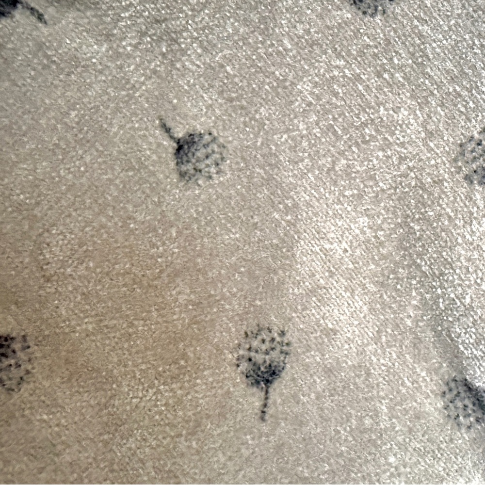 Zara Baby Gray Corduroy Pants with Dandelion Puff Design – Size 12-18 Months - Picture 4 of 5